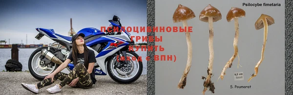 гашик Абдулино