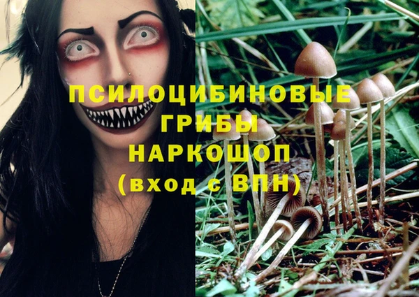 синтетический гашиш Абинск