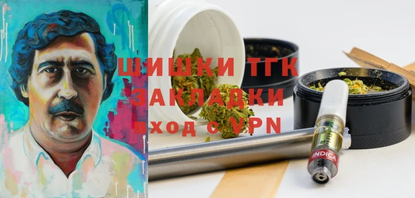соль ск Абаза