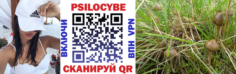 Галлюциногенные грибы мухоморы  где купить наркоту  Нальчик 